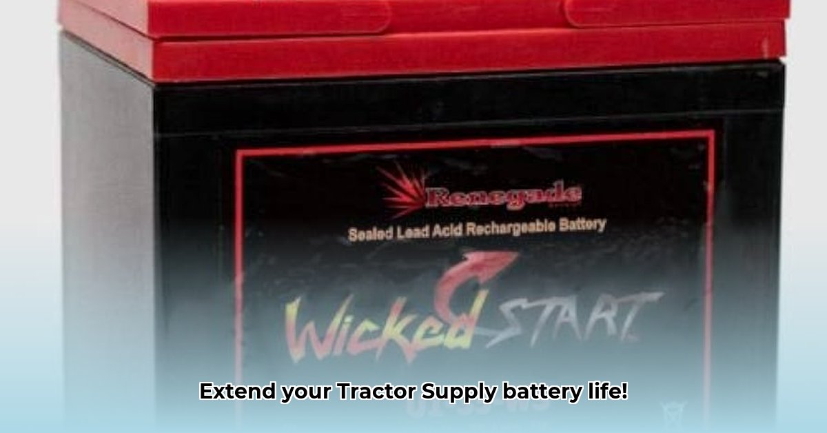 tractor-supply-battery-warranty